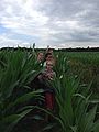 2014-07-14_14-23-46_2014-07-14_14-23-46_IMG_0503.jpg