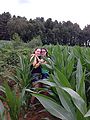 2014-07-14_14-23-50_2014-07-14_14-23-50_IMG_0504.jpg