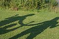 2014-07-14_18-20-38_2014-07-14_18-20-38_IMG_8597.jpg