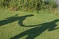 2014-07-14_18-20-47_2014-07-14_18-20-47_IMG_8598.jpg
