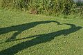 2014-07-14_18-21-15_2014-07-14_18-21-15_IMG_8599.jpg