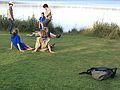 2014-07-14_19-55-45_2014-07-14_19-55-45_IMG_0021.jpg
