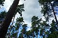 2014-07-16_13-36-43_Zomerkamp Herentals fotonr: 067.jpg