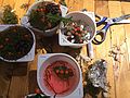 2014-07-16_13-36-51_2014-07-16_13-36-51_IMG_0043.jpg