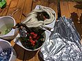 2014-07-16_13-37-01_2014-07-16_13-37-01_IMG_0044.jpg