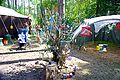 2014-07-16_16-13-07_Zomerkamp Herentals fotonr: 081.jpg