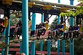 2014-07-17_13-59-26_Zomerkamp Herentals fotonr: 112.jpg