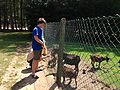 2014-07-18_14-01-02_2014-07-18_14-01-02_IMG_0518.jpg