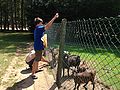 2014-07-18_14-01-06_2014-07-18_14-01-06_IMG_0519.jpg