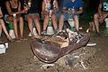 2014-07-18_22-56-05_2014-07-18_22-56-05_IMG_8711.jpg