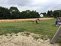 2015-07-28_17-13-33_IMG_0231.jpg