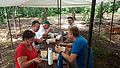2016-07-22_14-20-50_pre 001.jpg