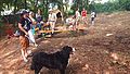 2016-07-23_12-10-58_start 003.jpg
