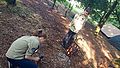 2016-07-23_18-16-50_primi 001.jpg