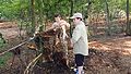 2016-07-23_19-03-43_primi 007.jpg
