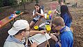 2016-07-23_20-09-22_primi 010.jpg