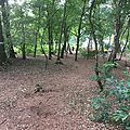 2016-07-25_11-08-51_IMG_0161.jpg