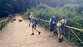 2016-07-25_14-50-22_hike w 001.jpg