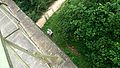 2016-07-25_14-52-45_hike w 008.jpg