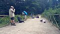 2016-07-25_15-00-21_hike w 010.jpg
