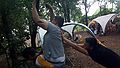 2016-07-26_21-19-32_terug 018.jpg