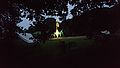 2016-07-27_22-07-03_sfeer 004.jpg