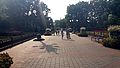 2016-07-28_17-11-33_park 026.jpg