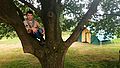 2016-07-30_11-25-20_toren015.jpg