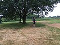 2016-07-30_11-25-50_IMG_0233.jpg
